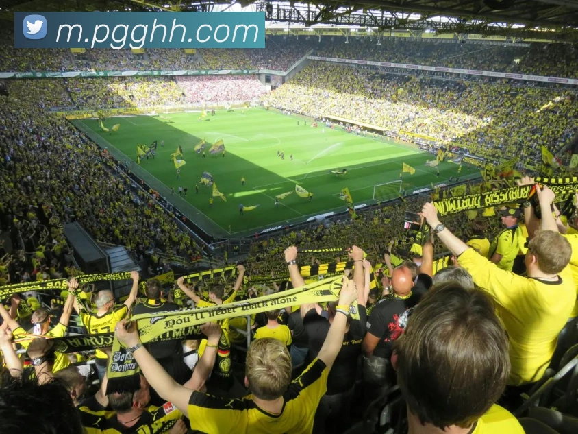 多媒体互动体验