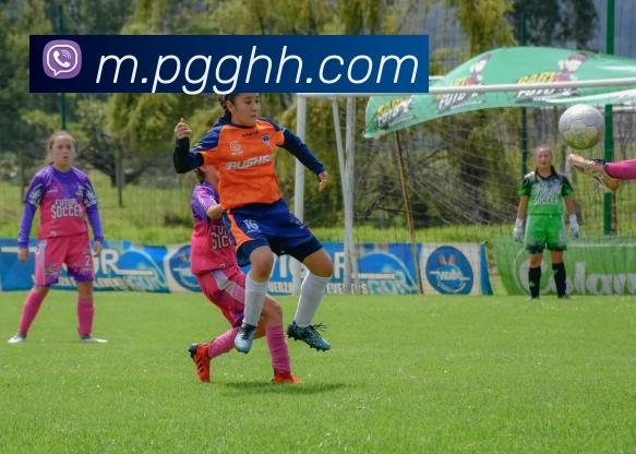 pg电子APP 高清赛事图